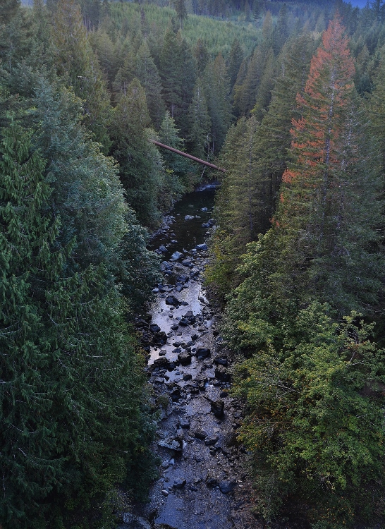 river 